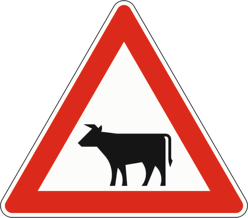 Verkehrszeichen: Viehtrieb - Aufstellung rechts
