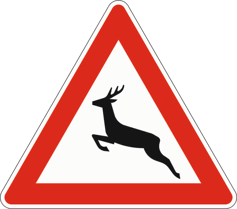 Verkehrszeichen: Wildwechsel - Aufstellung rechts